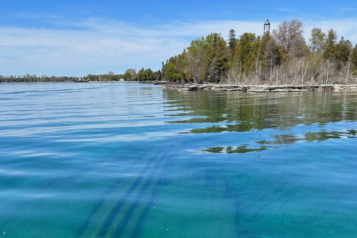 a body of water surrounded by trees
