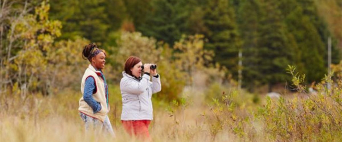 two people walking across a grass covered field