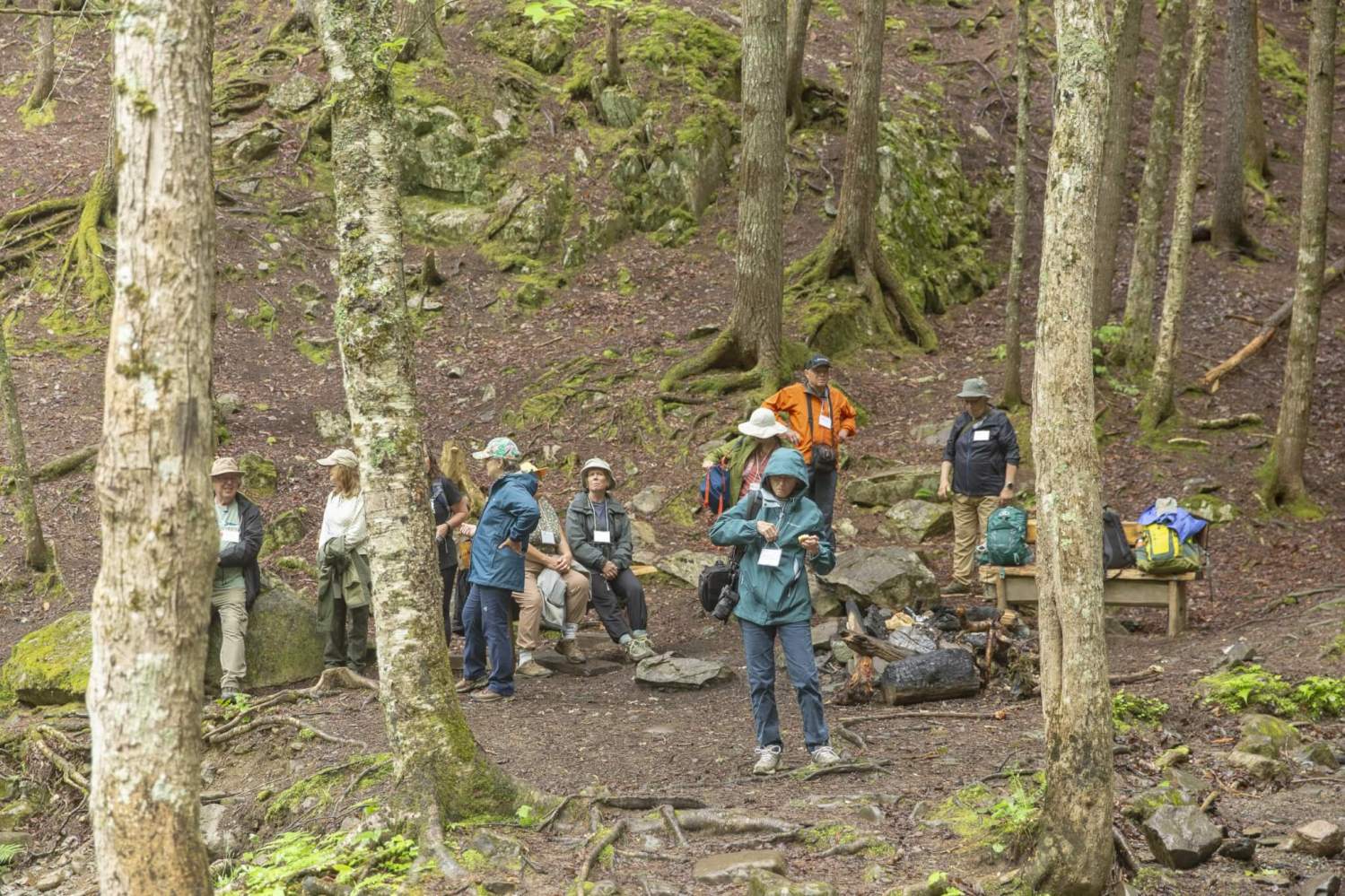 a group of people in a forest