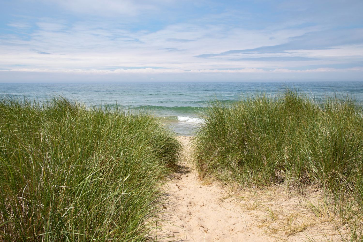 sandy dune with grasses and large body of water