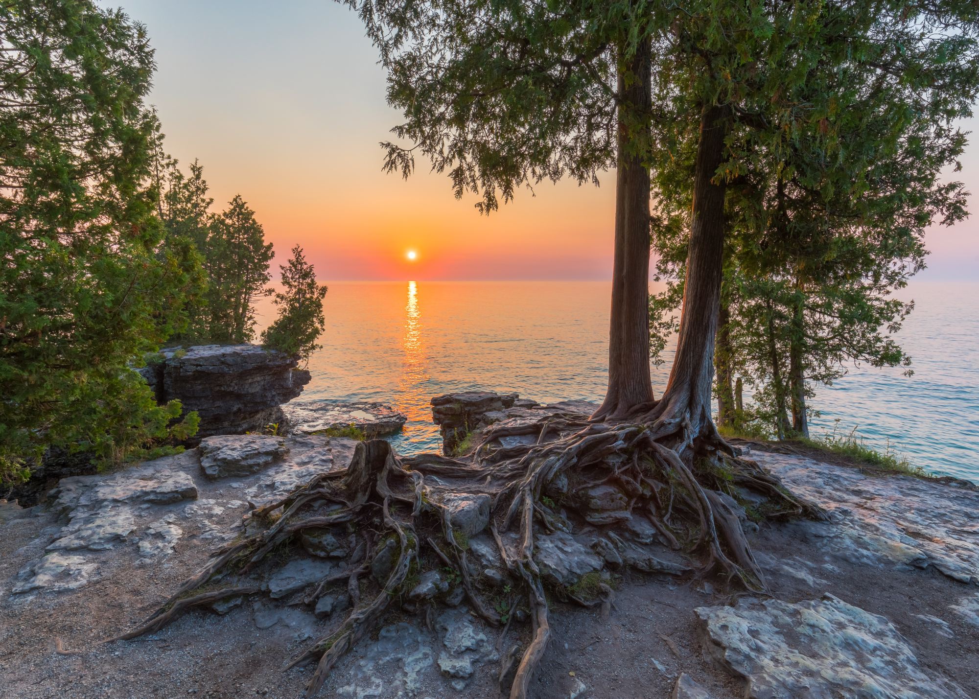 unsplash dave-hoefler-fw_8aPCdG_A-unsplash sunset over water with cedar trees and rocks in the foreground