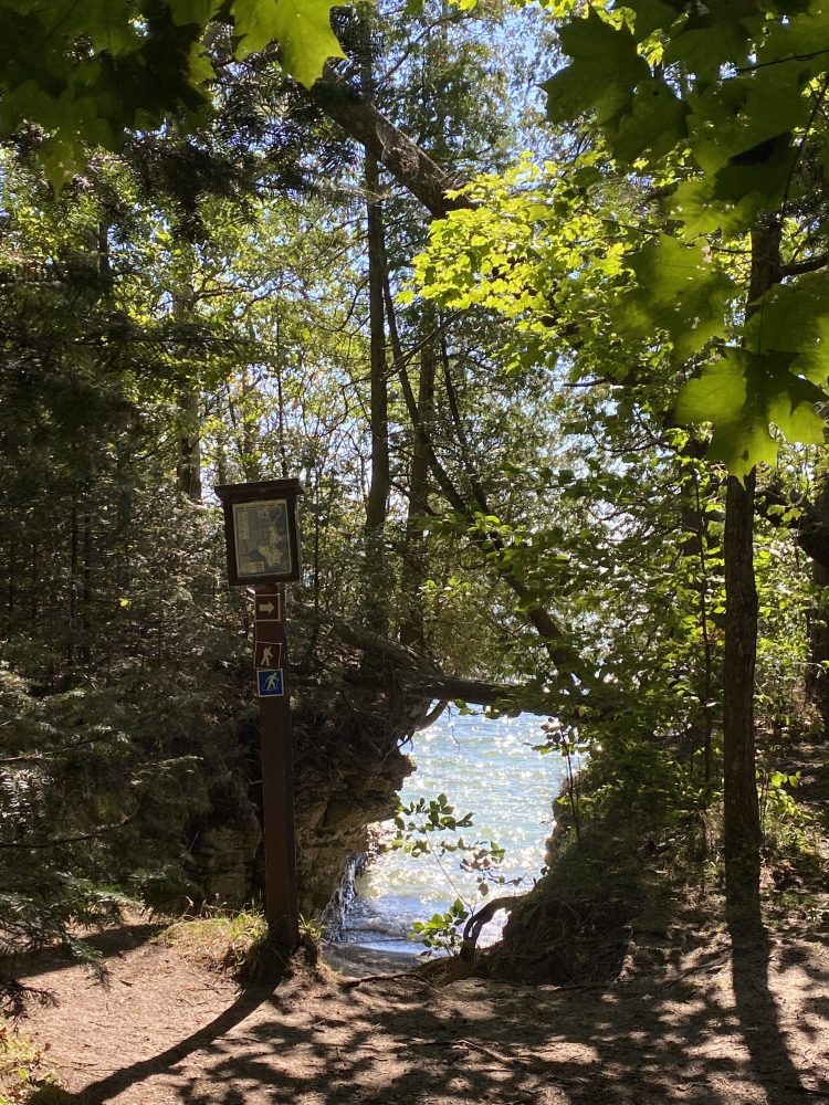 Forest trail with a signpost, leading to a rocky waterfront.