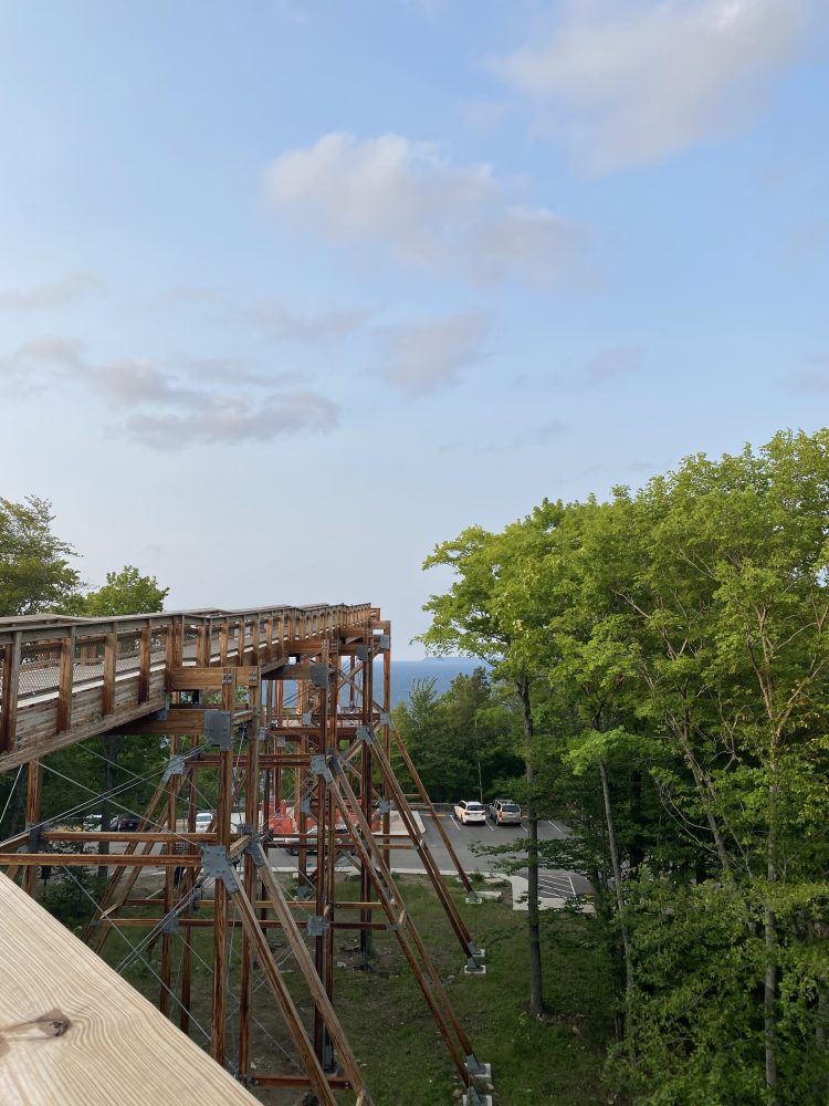 Wooden walkway on stilts in a forest area with a clear blue sky.