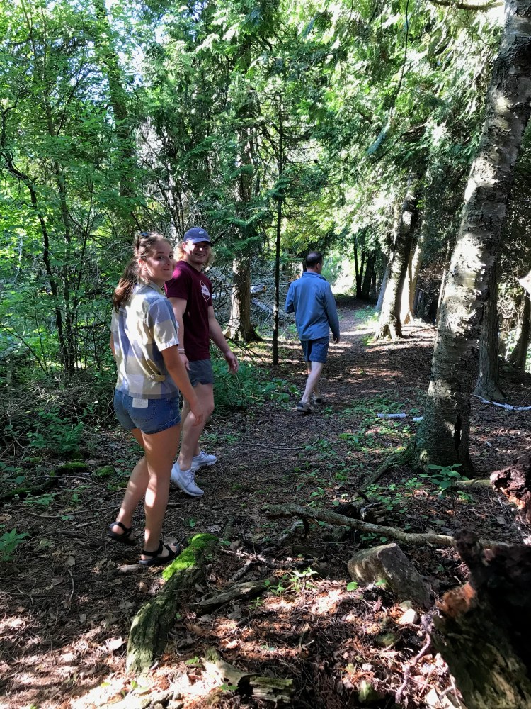 Three people walking on a forest path shaded by tall green trees.